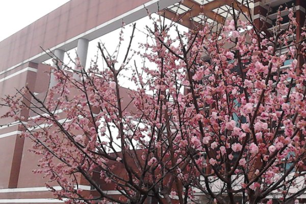 信阳二高分校在哪