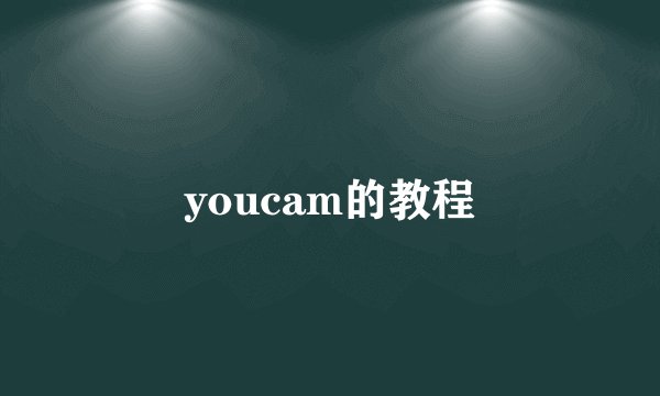 youcam的教程