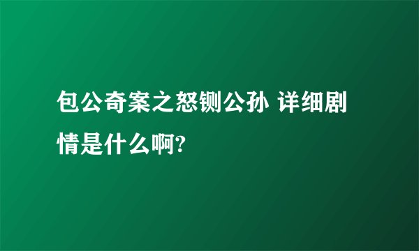 包公奇案之怒铡公孙 详细剧情是什么啊?