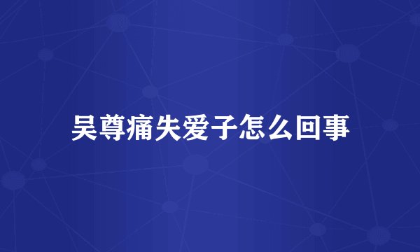 吴尊痛失爱子怎么回事