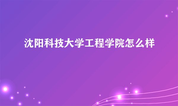 沈阳科技大学工程学院怎么样