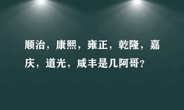 顺治，康熙，雍正，乾隆，嘉庆，道光，咸丰是几阿哥？