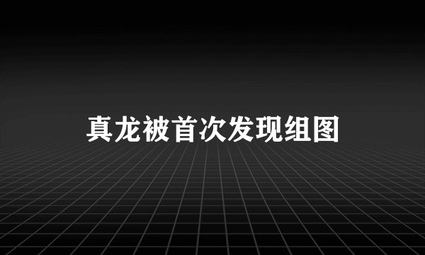 真龙被首次发现组图