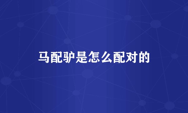 马配驴是怎么配对的