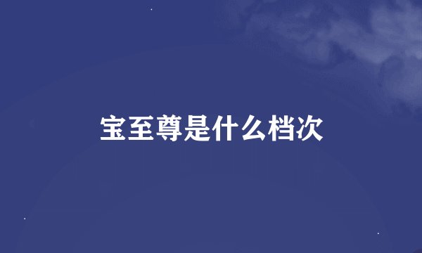 宝至尊是什么档次