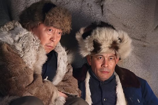 2024年已定档的电视剧