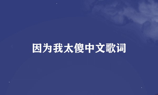 因为我太傻中文歌词