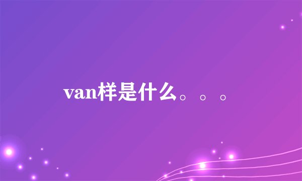 van样是什么。。。