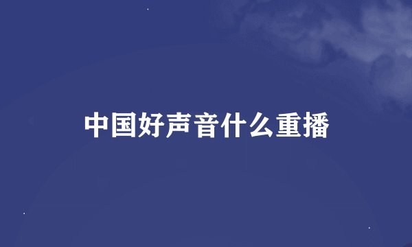 中国好声音什么重播