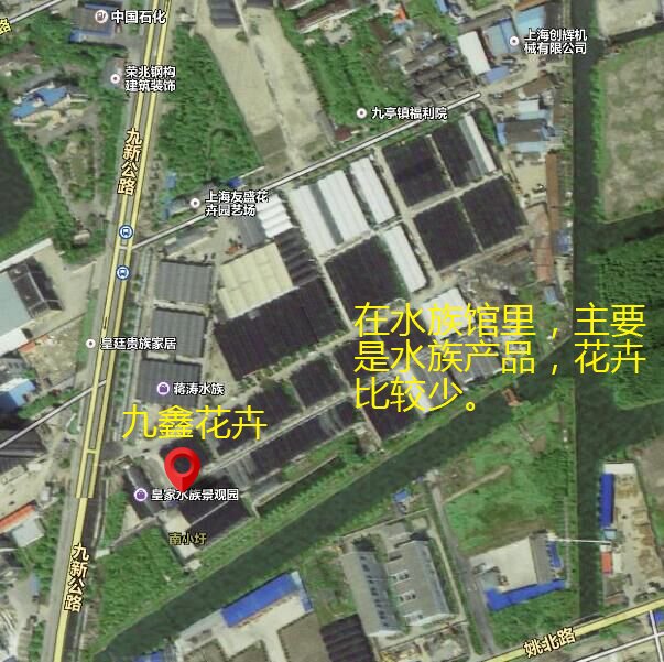 上海最大的苗木花卉市场在哪?比较专业的大型的市场？