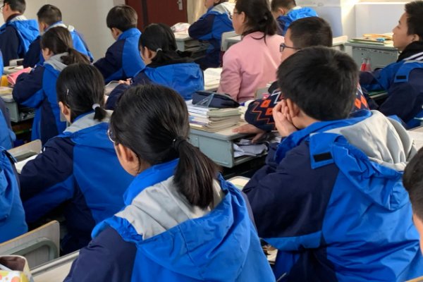 物以稀为贵什么意思