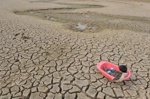 专家预测极端高温还将卷土重来，气候危机纪元真的来了？