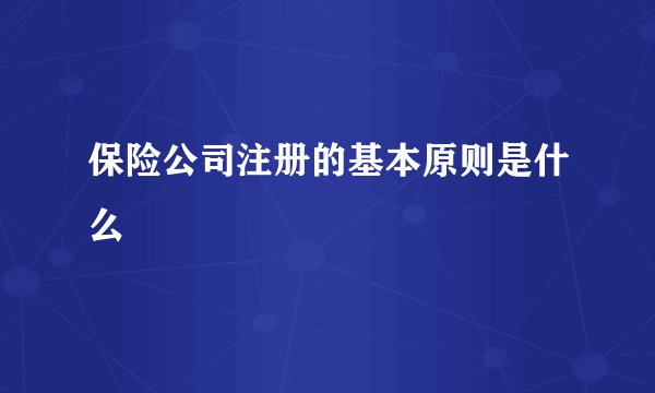 保险公司注册的基本原则是什么