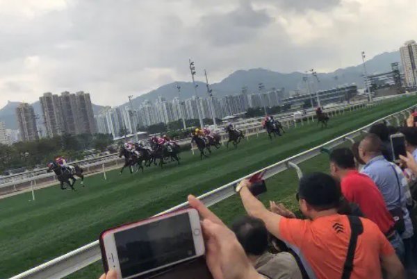 2024香港赛马赛程表