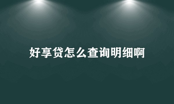 好享贷怎么查询明细啊