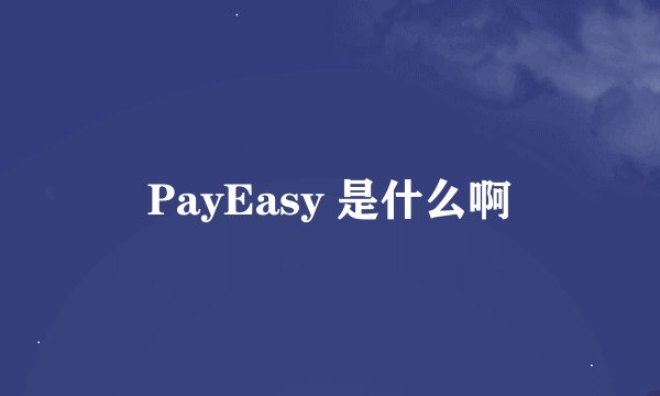 PayEasy 是什么啊