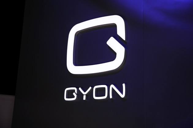 gy的中文翻译是什么？