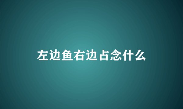 左边鱼右边占念什么