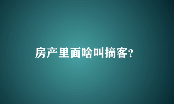 房产里面啥叫摘客？
