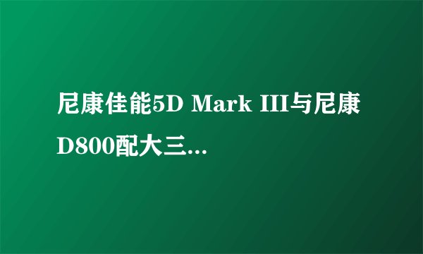 尼康佳能5D Mark III与尼康D800配大三元镜头哪个好？