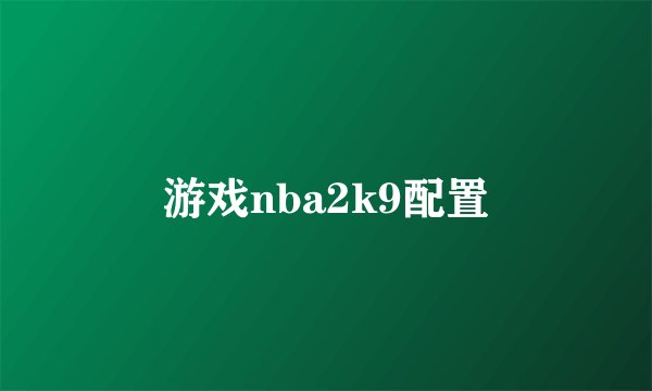 游戏nba2k9配置
