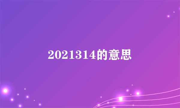 2021314的意思