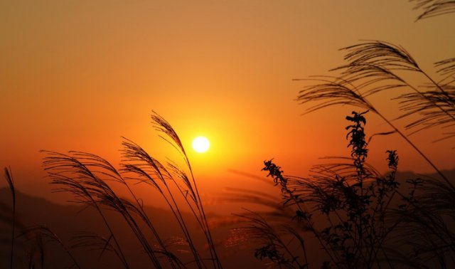 夕阳的夕怎么组词