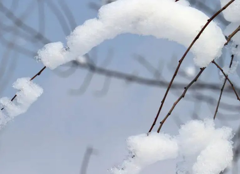 雪的诗句有哪些