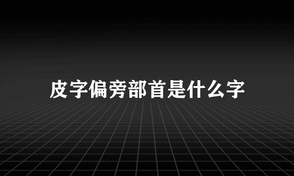 皮字偏旁部首是什么字