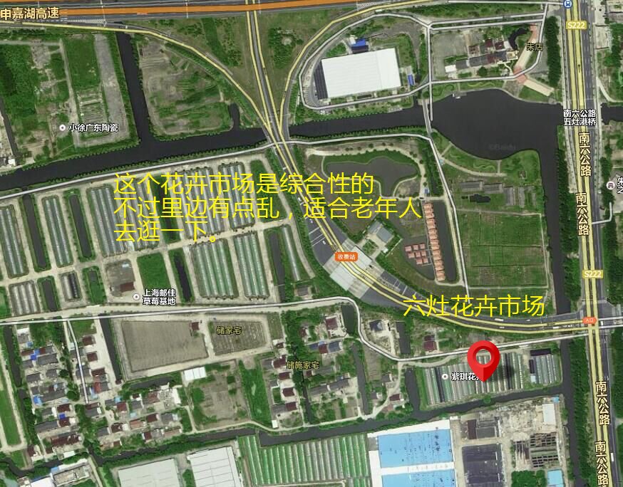 上海最大的苗木花卉市场在哪?比较专业的大型的市场？
