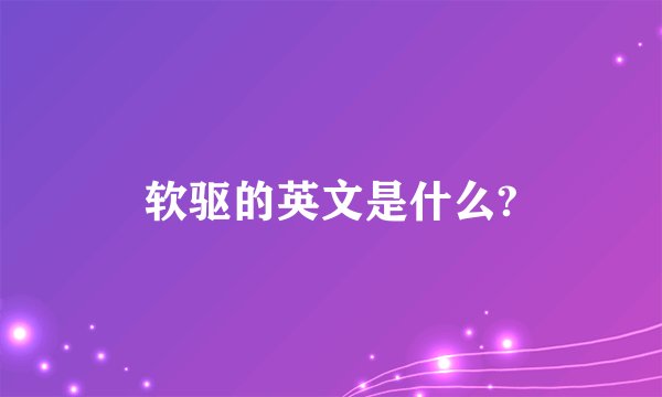 软驱的英文是什么?
