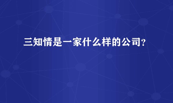 三知情是一家什么样的公司？