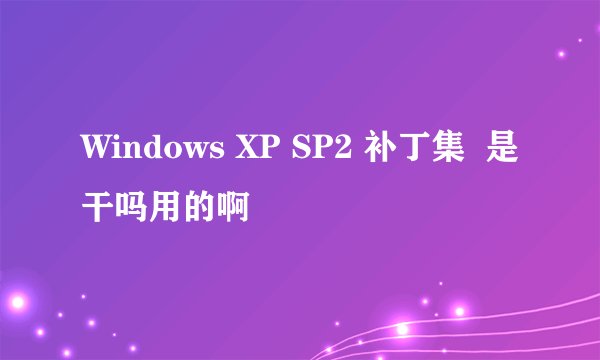 Windows XP SP2 补丁集  是干吗用的啊