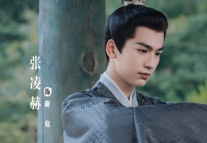 宁安如梦停更了吗