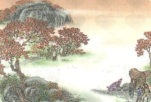 擎雨盖指的是什么意思