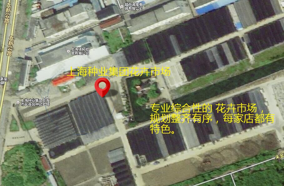 上海最大的苗木花卉市场在哪?比较专业的大型的市场？