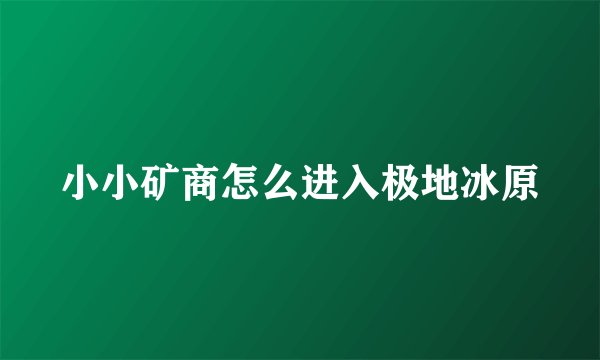 小小矿商怎么进入极地冰原