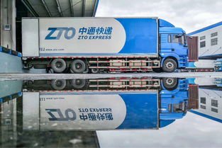 中通快递因宠物盲盒被约谈，中通快递为何会这么惨？