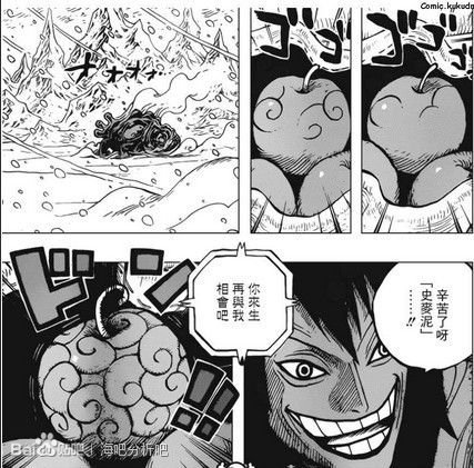 蝾螈果实的介绍