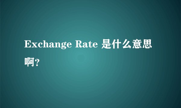 Exchange Rate 是什么意思啊？