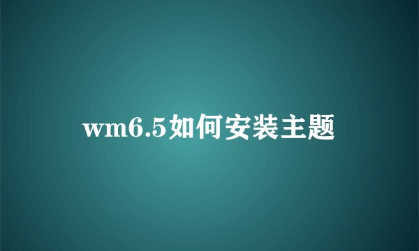 wm6.5如何安装主题
