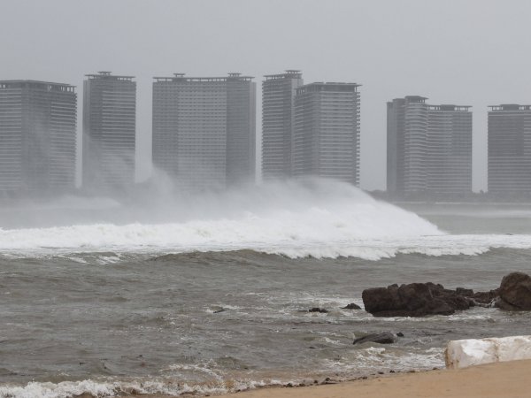 海鸥台风是哪一年