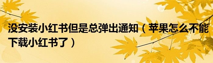 没安装小红书但是总弹出通知苹果怎么不能下载小红书了