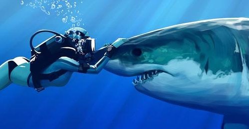 这种鲨鱼的品种叫做CG鲨(CG Shark)跟著名的HungryShark是近亲。体型小，聪明，对