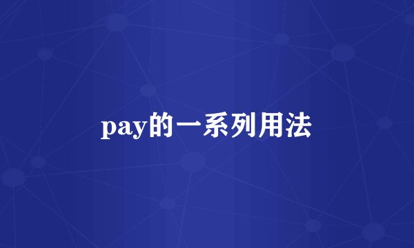 pay的一系列用法