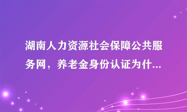 湖南人力资源社会保障公共服务网，养老金身份认证为什么打不开