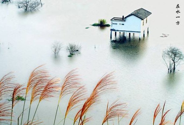 《诗经》中的“蒹霞苍苍，白露为霜，所谓伊人，在水一方”的翻译