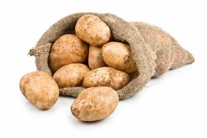 sacked是什么意思中文