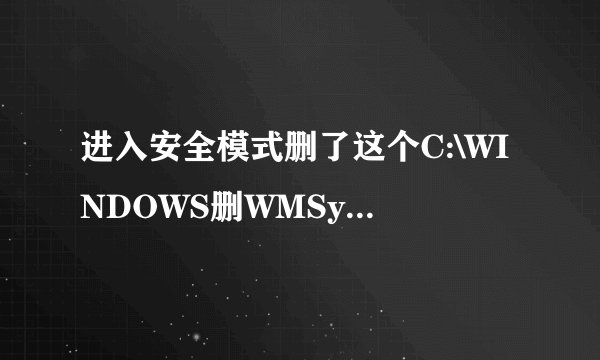 进入安全模式删了这个C:\WINDOWS删WMSysPr9.prx文件电脑会出现什么问题吗