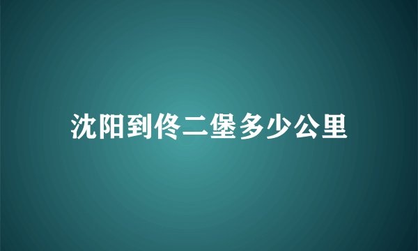 沈阳到佟二堡多少公里